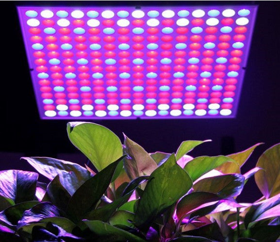 LED Panel Grow Light 45W Easi Grow